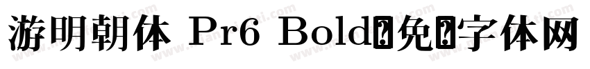 游明朝体 Pr6 Bold字体转换